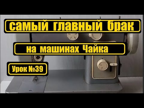 Самый главный брак на Чайке!