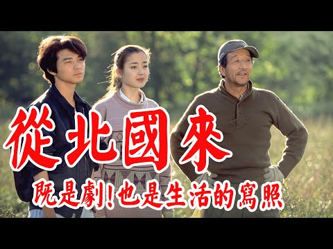难以超越的作品，历经21年系列拍摄，道出中年人的无奈与悲伤！日剧|东京|仓本聪|北国之恋|北海道|富良野|佐田雅志|宫泽理惠