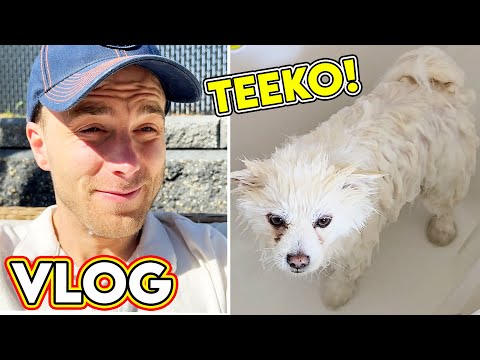 Wrapping Up May 4th & Grooming Teeko!