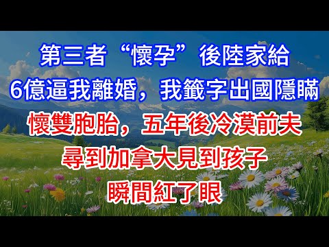 【完結】第三者“懷孕”後陸家給6億逼我離婚,我籤字出國隱瞞懷雙胞胎,五年後冷漠前夫尋到加拿大見到孩子瞬間紅了眼