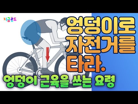 엉덩이 근육을 쓰는 조건과 방법#엉덩관절_쓰는_요령
