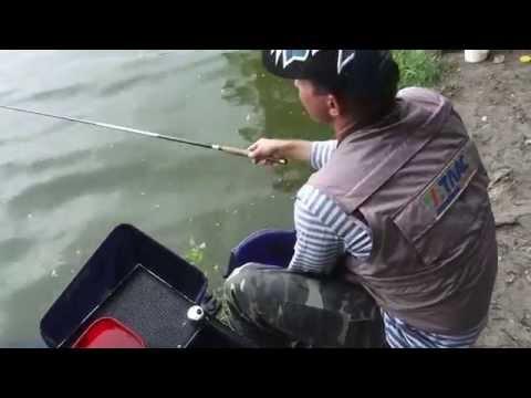 Поплавочная Ловля Уклейки: семейная рыбалка. Мастер-Класс "О рыбалке всерьёз" видео 189.