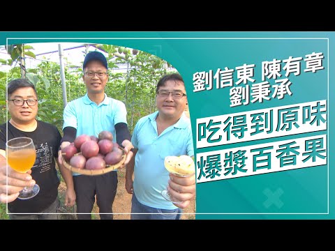 草地狀元-原味爆漿百香果狂(2021.05.10播出)