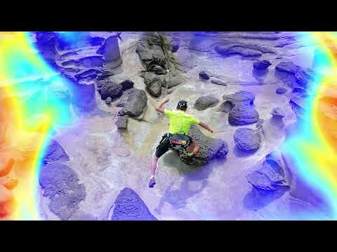 2025 一至十一月