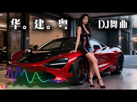 DJ版舞曲REMIX♪【国语 台语 粤语】 🔥 经典精选歌 好听又有节奏感 Vol.33