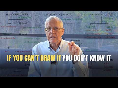 Algorithms & Tables: How I Actually Learn Medicine (Anemia, Jaundice, CHD Examples)