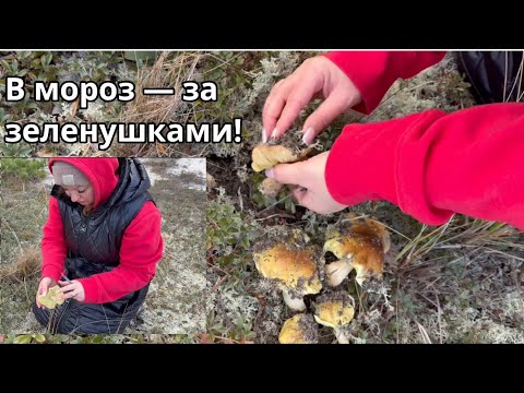 Пока все дома под одеялом, мы с мамой в лес по грибы! 