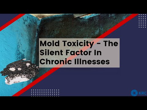 Mold toxicity — The Silent Factor In Chronic Illness