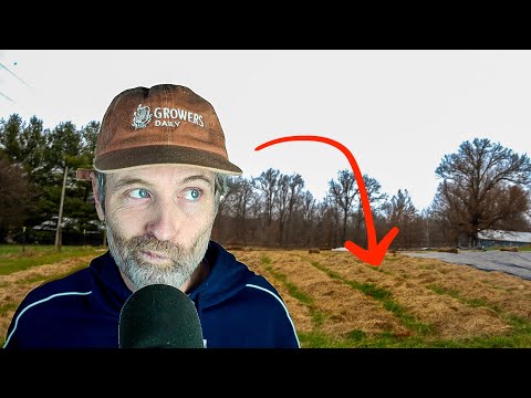 Do You Need to Fertilize if You’re Mulching? + How to Decipher Fertilizers