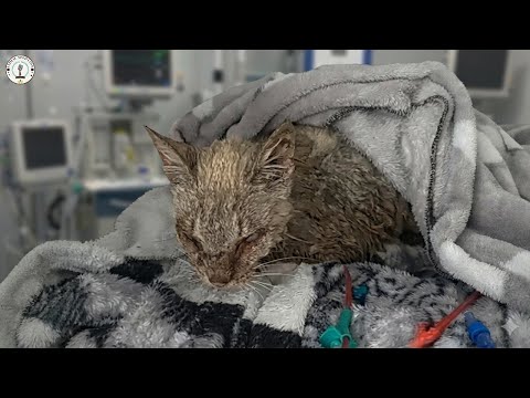 Never knew happiness, he cried as someone hugged and kissed him