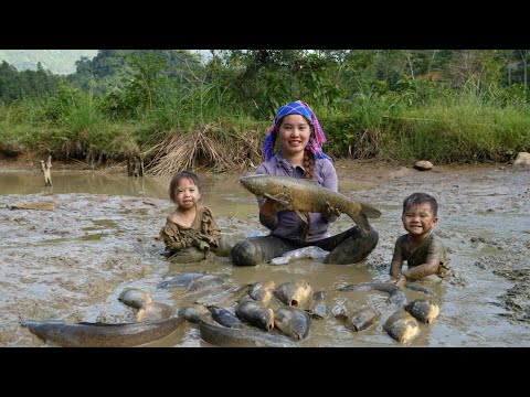 how to catch fish pond, harvest giant fish to bring to market to sell with two small children