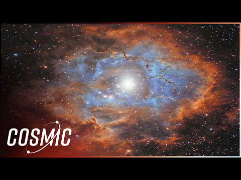 The Life Cycle Of A Star: What Can Stars Tell Us About Earth's Origins?