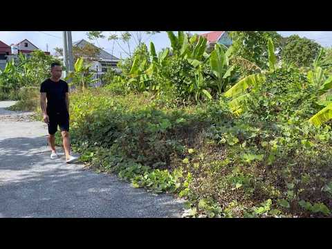 Terrible Sidewalk Overgrown With Weeds - Watch Me Clean Up This Mess