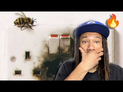 CHIP - PLUGGED OUT (VISUALISER) REACTION