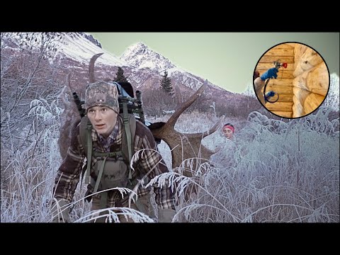 Our Alaskan Log Home Grind & Wild Moose Find