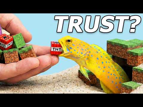 I Rescued The Fish That Plays Minecraft (In Real Life)