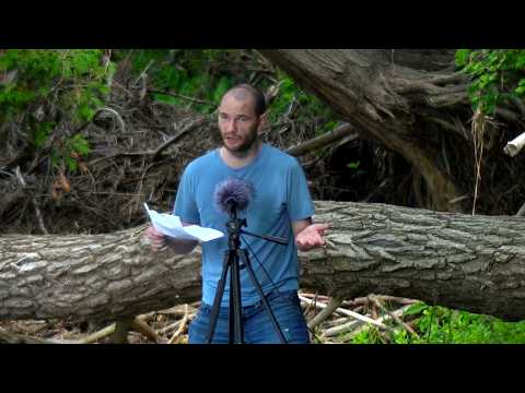 What I'd Do Differently In Life