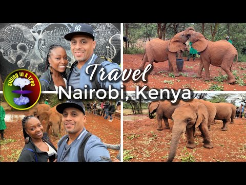 Kenya Travel Diaries: We Adopted a Baby Elephant | Sheldrick Elephant Orphanage #nairobi
