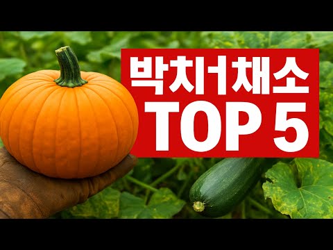 내년 농사는 이걸로 끝! 허리 한번 안 숙이는 '방치형' 채소 TOP 5 (초보 농부 필독)