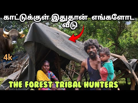வெளி உலக தொடர்பில்லாமல் காட்டுக்குள் வாழும்  பழங்குடியினர்🛖|Forest Tribal Hunters✅