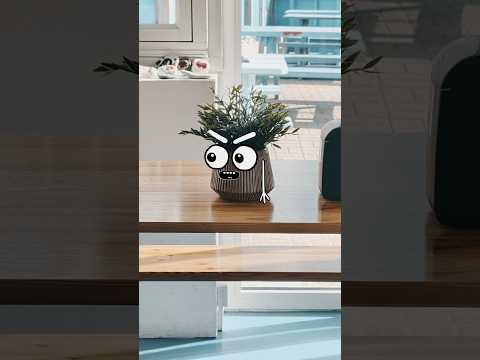 Immer diese glücklichen Steckdosen in Dänemark 🇩🇰