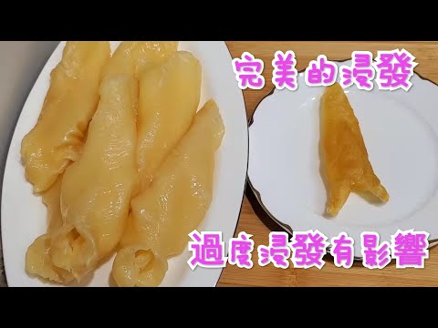 花膠完美浸發，過度浸發會影響品質