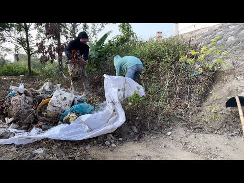 Turn a sidewalk full of weeds, trash and mud into a beautiful walkway - A mesmerizing transformation