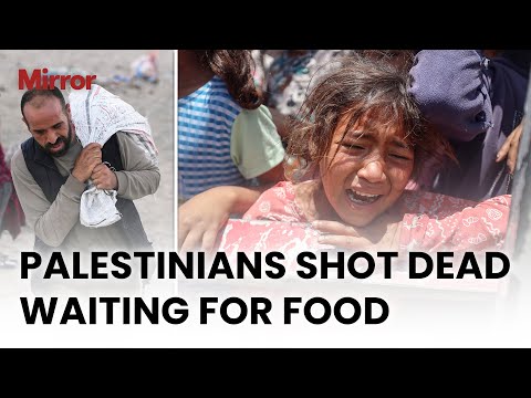 FURY in Gaza as Palestinians killed while waiting for food