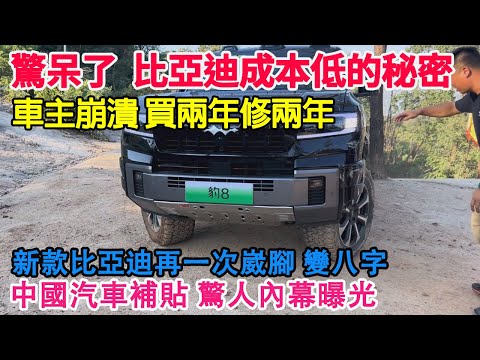 Shocked! BYD’s secret to low costs! Domestic quality is so bad, car owners are devastated!