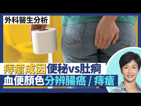 痔瘡成因詳談 便秘vs肚痾腹瀉？腸癌痔瘡都會大便出血 分辨癌症／痔瘡靠看血液顏色深淺？大便有血、有突出物都只係痔瘡初期徵狀！｜王建芳醫生 外科醫生何柏堅醫生｜人類健康研究所