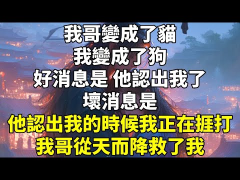 我哥變成了貓,我變成了狗。 好消息是,他認出我了。 壞消息是,他認出我的時候,我正在捱打。 我哥從天而降救了我。
