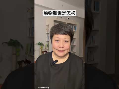 (廣東話)動物離世到底係點?