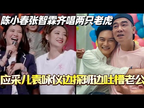 应采儿袁咏仪驾到 陈小春张智霖齐唱两只老虎！边探班边吐槽老公引爆笑！#应采儿 #袁咏仪 #大湾仔的夜 #陈小春 #张智霖