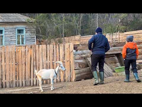 1 Typical Week In The Life Of A Family In A Remote Village In The Carpathian Mountains