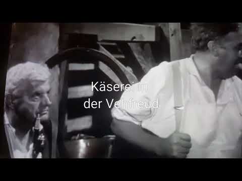 Käserei in der Vehfreud,Wasser ir Milch,Schägerei auf dem Markt in Langnau i.E. und Wagenrennen