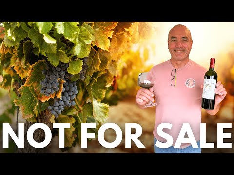 From Car Headlight Stress to a Secret Wine Stash 🇫🇷🍷