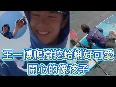 Wang Yibo climbing a tree to dig for clams is so cute, he's as happy as a child.