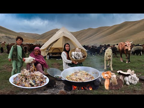 Finding Wild Mushroom From the Highest Mountain of Afghanistan |Shepherd Mother Cooking Village Food