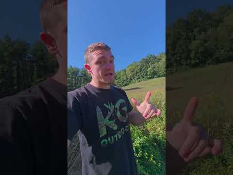 Minnow Trapping Dry Creeks... #Jesus #GrayGang