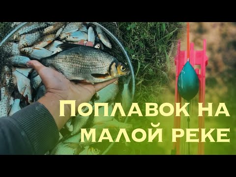 Пульметная рыбалка на поплавок на малой реке.