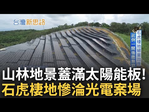 山林地景蓋滿太陽能板！苗栗石虎棲地慘淪光電案場 銅鑼光電開發案"大翻盤" 開發公司聲稱"可做為石虎庇護所" 生態專家痛批: 荒謬.無法取代｜李文儀主持｜【台灣新思路】20230514｜三立iNEWS