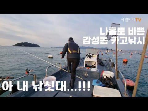 이리뛰고 저리뛰고 마릿수 감성돔을 낚아보자