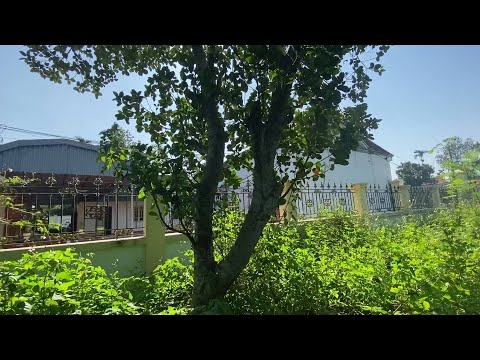 Before and after During the 1-day garden cleaning process of the Clean up 68 group