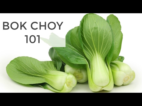Bok Choy 101 | Everything You Need to Know