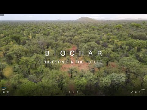 Biochar - Investing in the Future