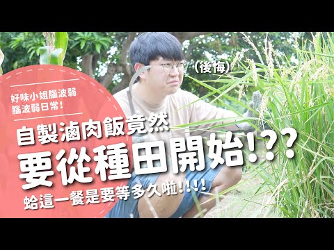 自製滷肉飯竟然要從種田開始？！  蛤！！ 這一餐是要等多久啦！！！ 【腦波弱日常】EP60