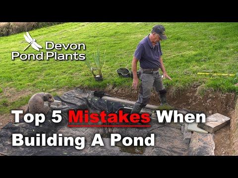 Top 5 Mistakes When Building A Pond