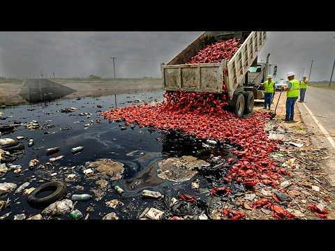 他们向一条被污染的河流中放生了成千上万只螃蟹……结果震惊了全世界