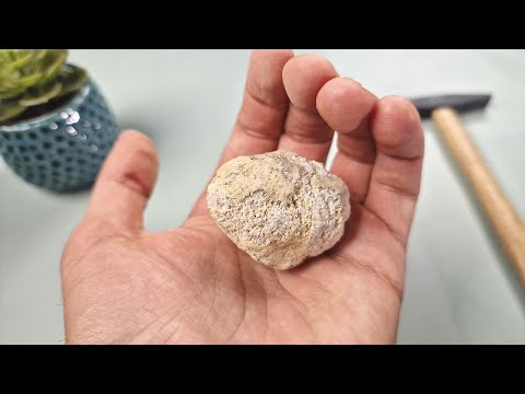 ВОТ ЧТО МЫ КУПИЛИ НА ALIEXPRESS