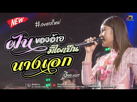 เพลงใหม่ !! ฝันของอ้ายมีไผเป็นนางเอก I แสดงสด เวียง นฤมล อำเภอกุดรัง